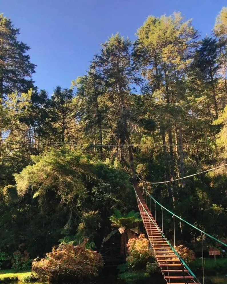 PARQUE ESTADUAL DE CAMPOS DO JORDÃO