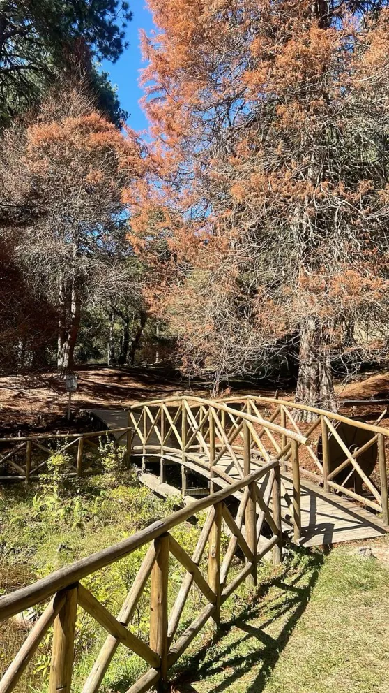 PARQUE ESTADUAL DE CAMPOS DO JORDÃO