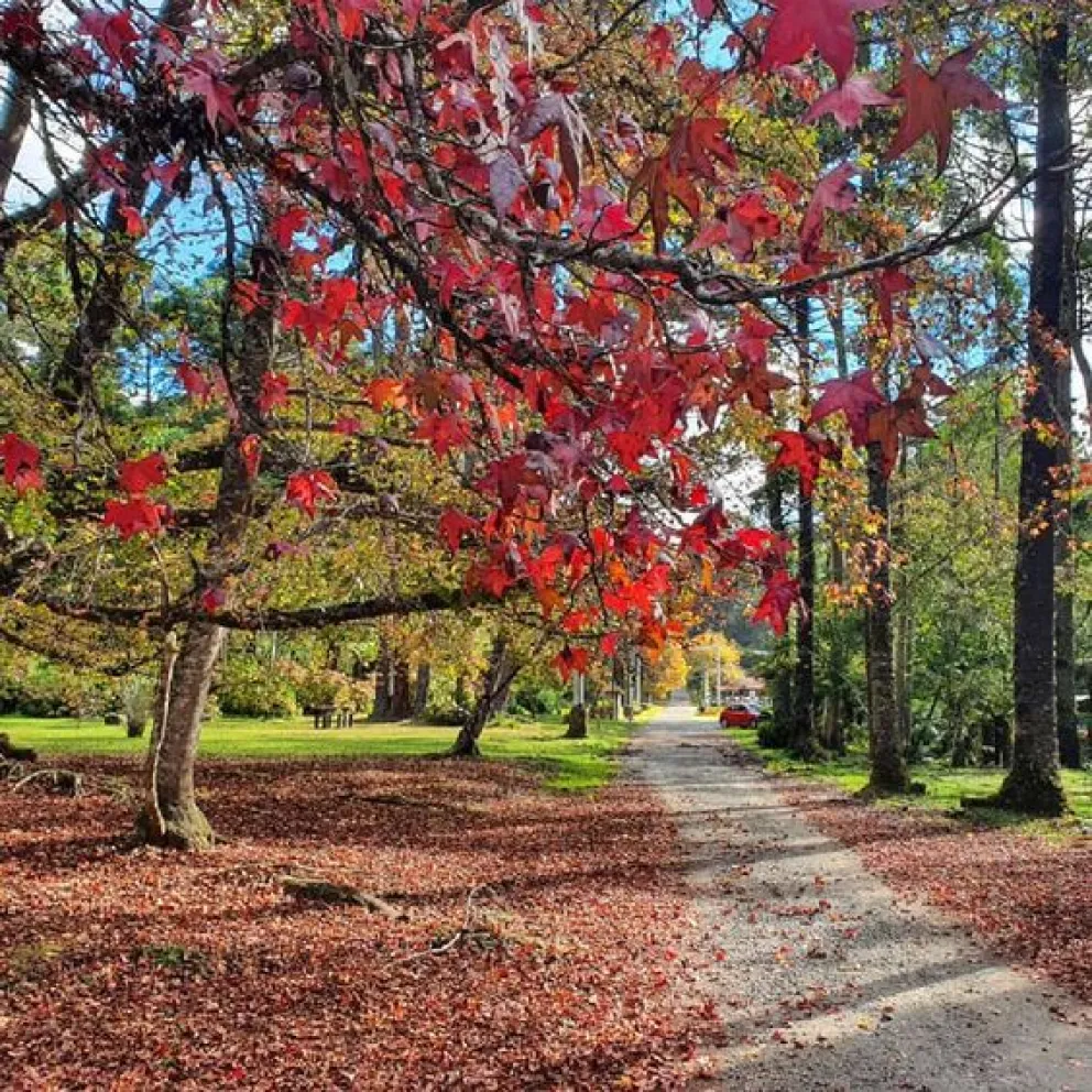 PARQUE ESTADUAL DE CAMPOS DO JORDÃO