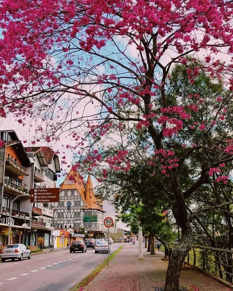 Blumenau